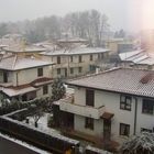 Neve