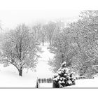 NEVE DAL BALCONE