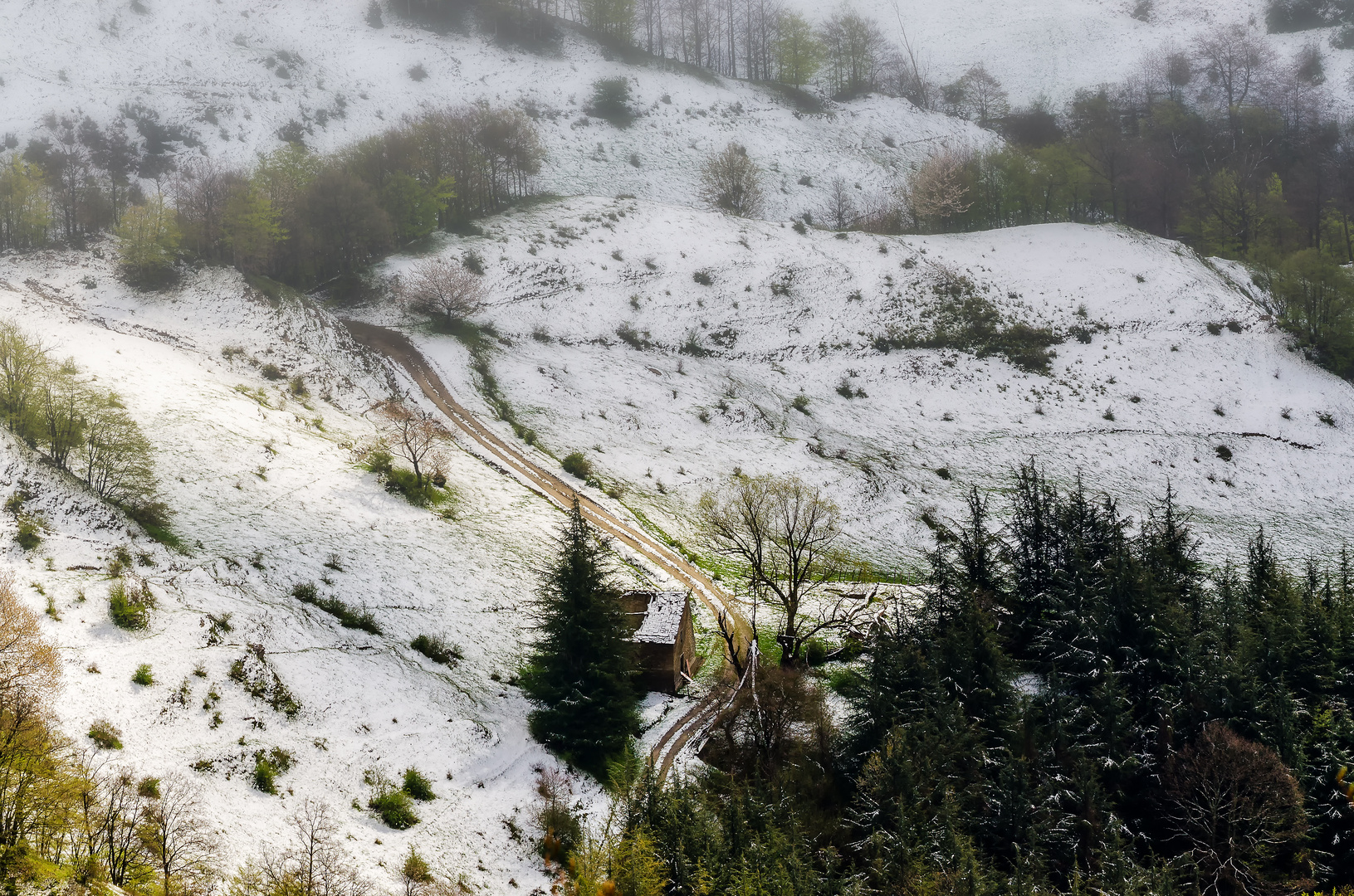 Neve d'aprile