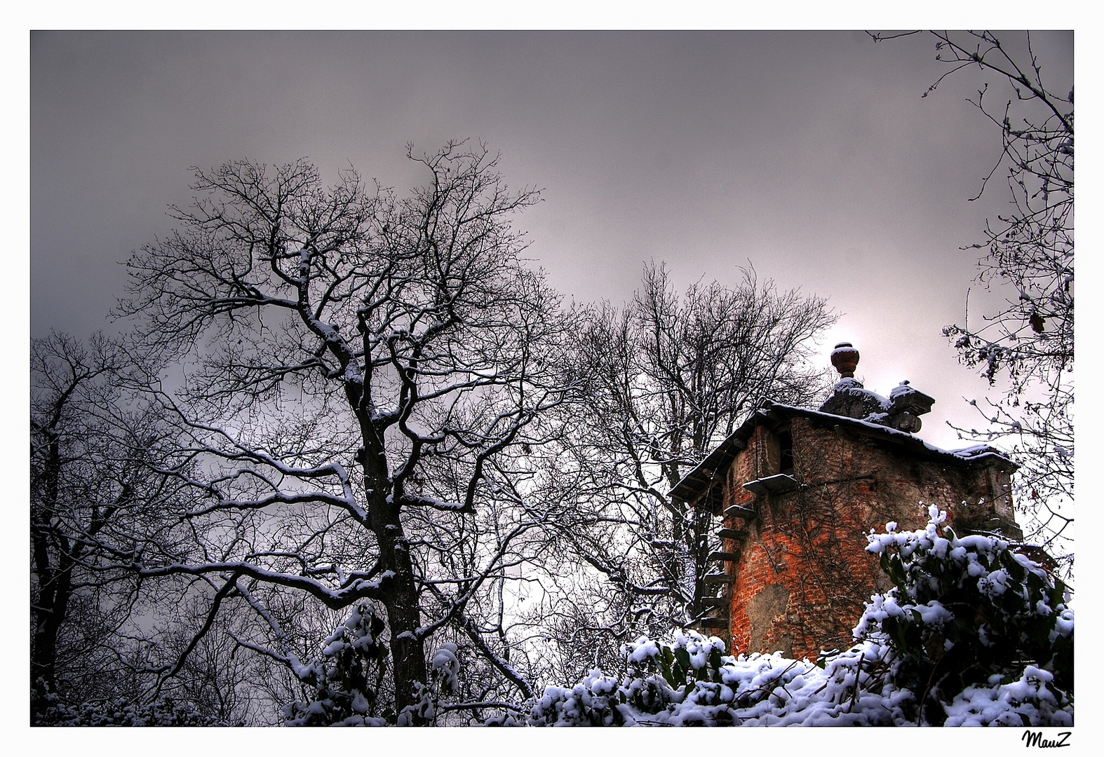 ... Neve e Arancione (2)