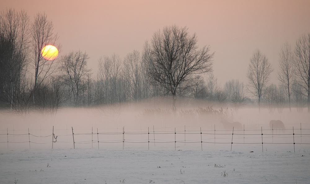 Neve e nebbia