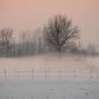 Neve e nebbia
