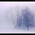Neve e Nebbia