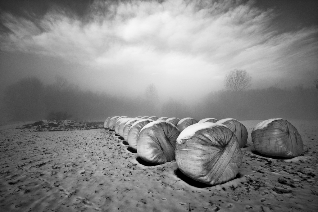 neve e nebbia