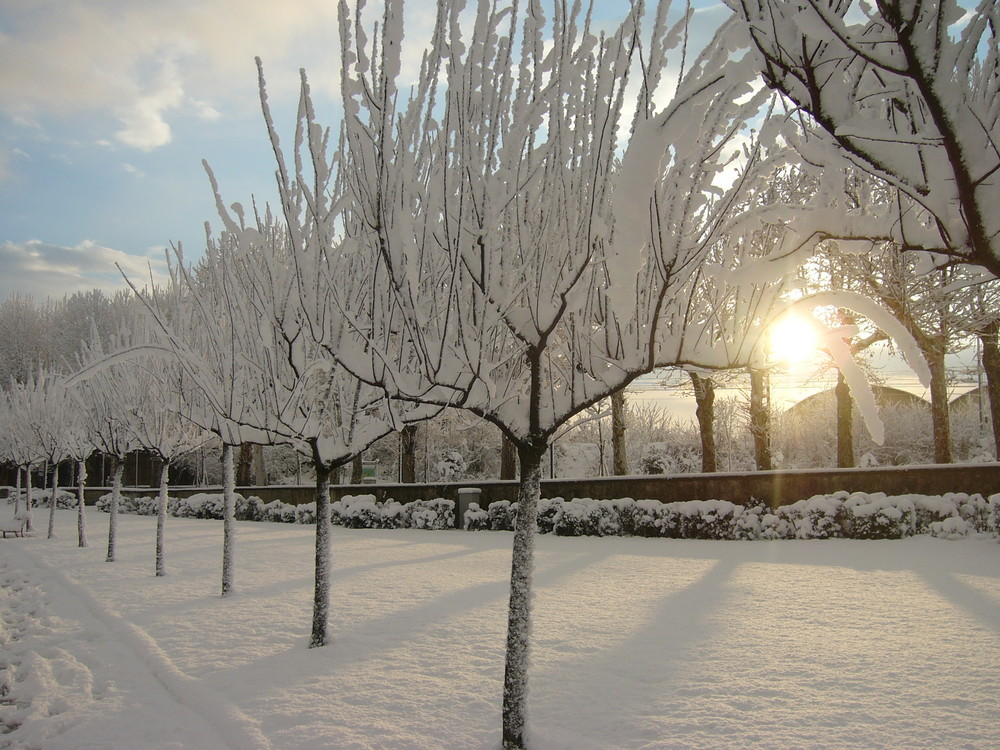 Neve immacolata