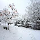 neve in campagna