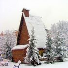 Neve in città