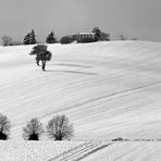 Neve in collina