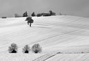 IT: Neve in collina von Alberto Baldinucci 