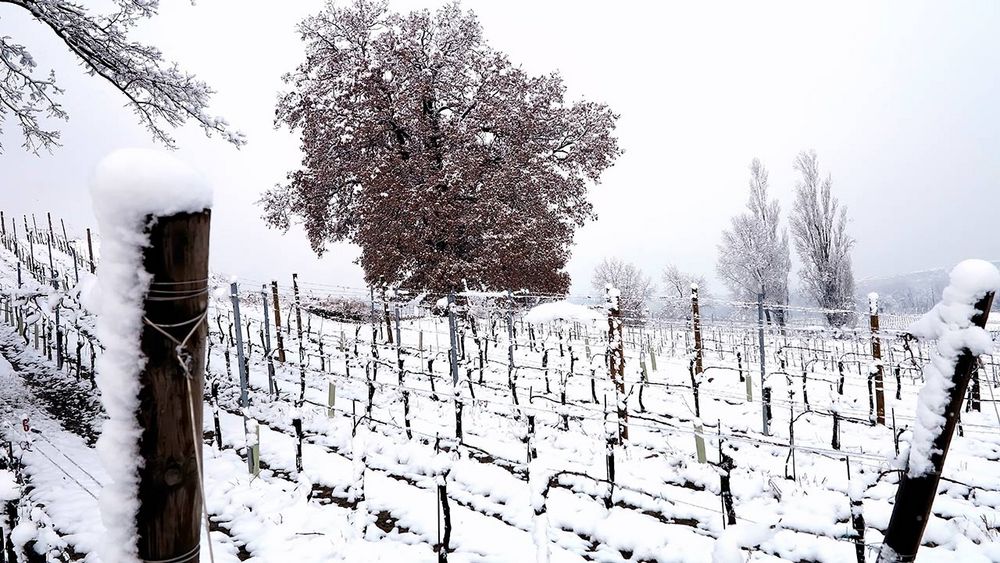 Neve in Franciacorta 1