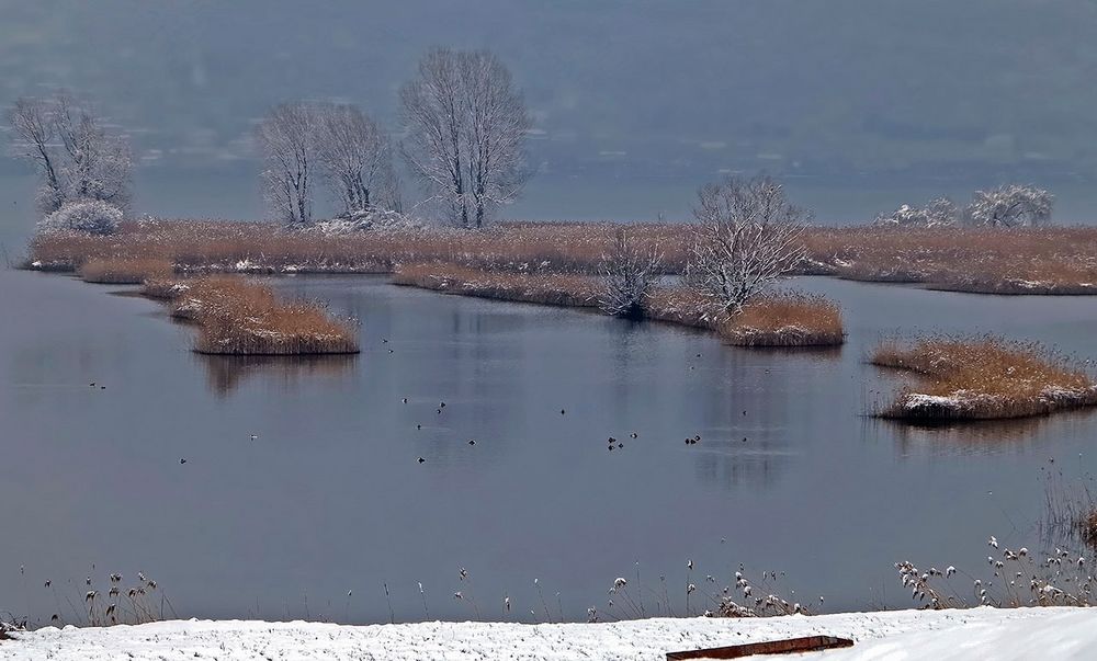 Neve in Franciacorta 5