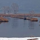 Neve in Franciacorta 5