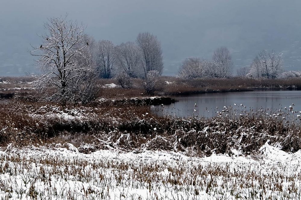 Neve in Franciacorta 6