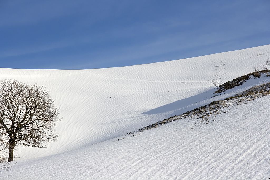 Neve in Lessinia