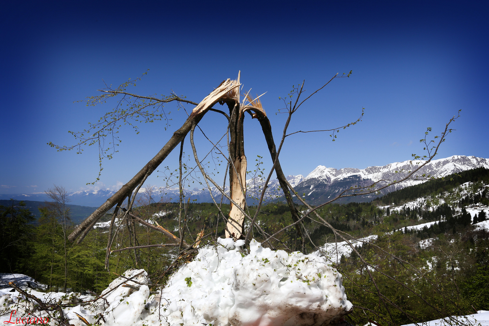 neve in primavera