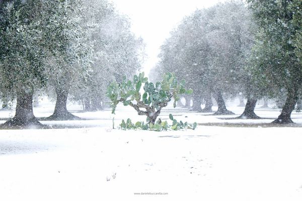 Neve in Salento