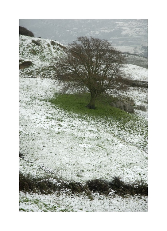 Neve in Sardegna