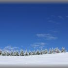 Neve in Trentino