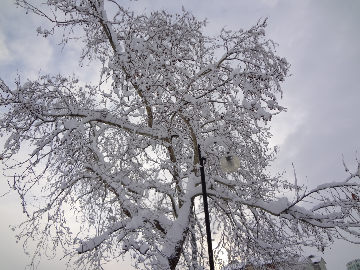 neve ........ lassù