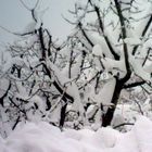 neve marzo 2010