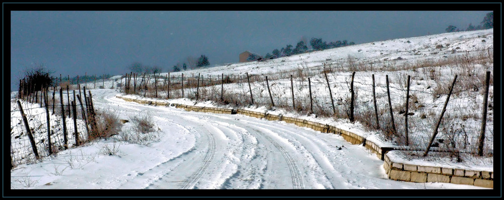 neve sicula