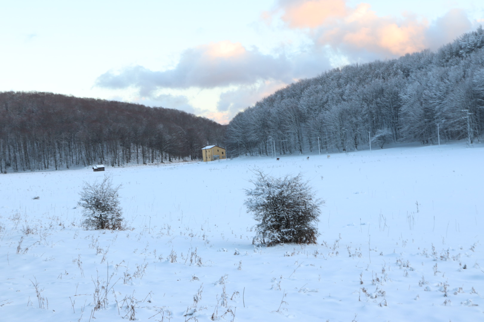 Neve sul monte terminio