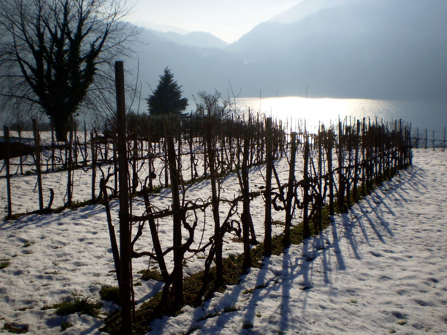 neve,lago aspettiamo la primavera...