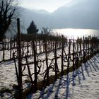 neve,lago aspettiamo la primavera...