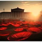 Never Again. Munich, Königsplatz