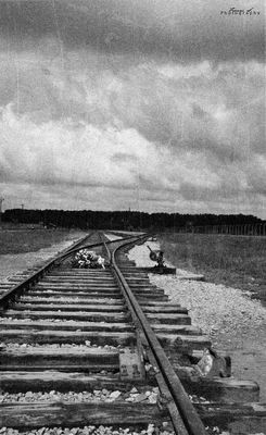 Never forgive - never forget