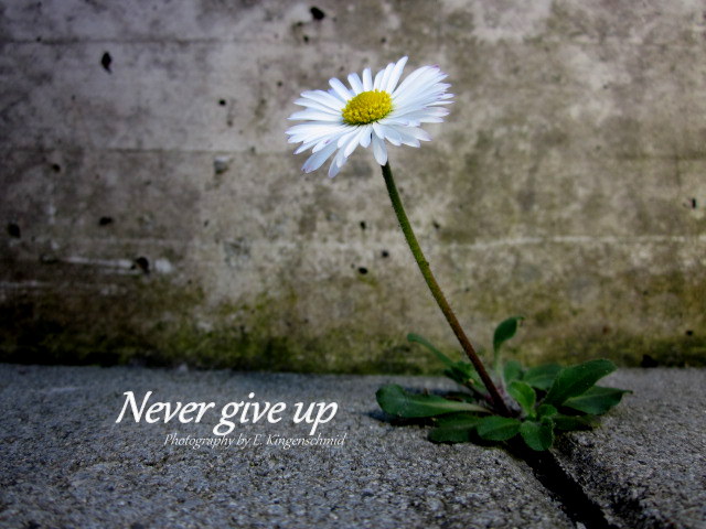 Never give up