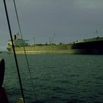 Neverita in Scapa Flow 1978 (1)