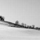 Neve.....solo silenzio ormai !!