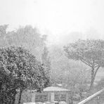 nevica...