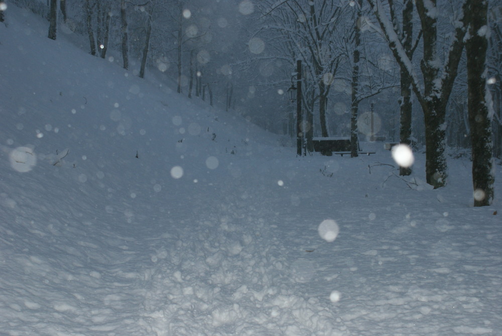 Nevica di Gabriele PANERO 