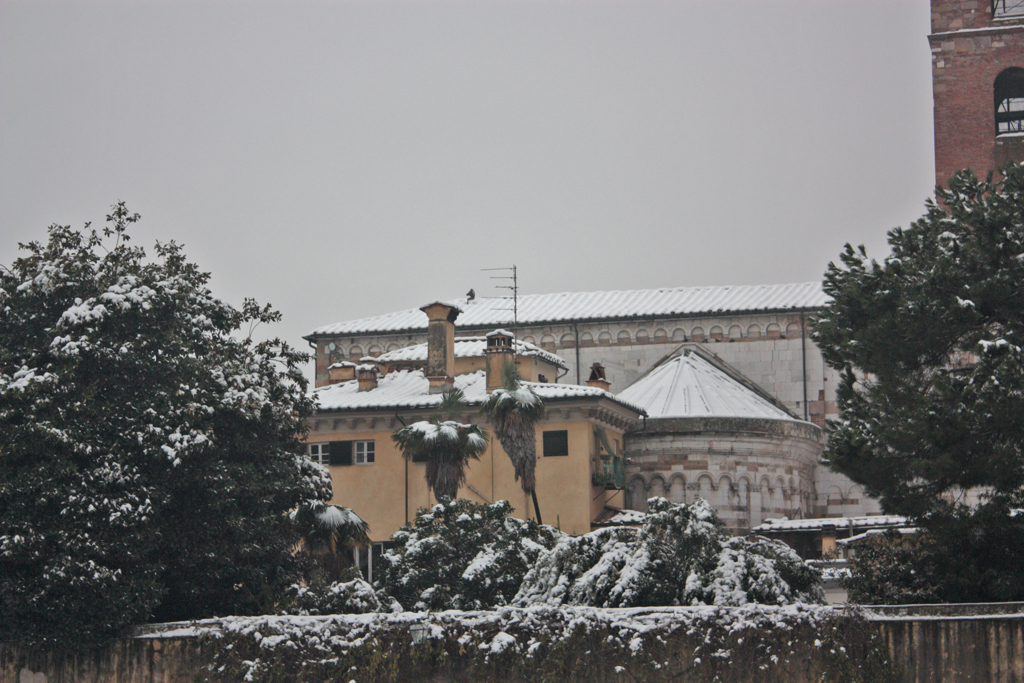 Nevicata 4