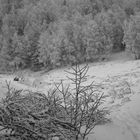 Nevicata a colle s. Bernardo (Valle Varaita Cuneo)