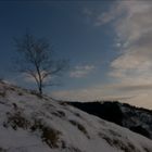 Nevicata a Volterra