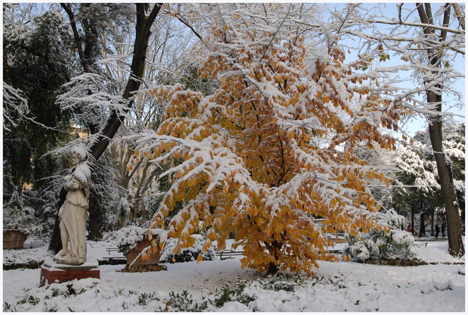 Nevicata ai giardini