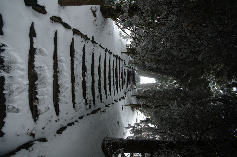 nevicata al parco