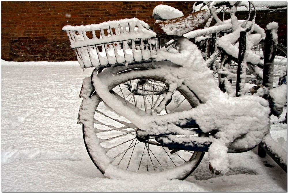 Nevicata alla bolognese IX