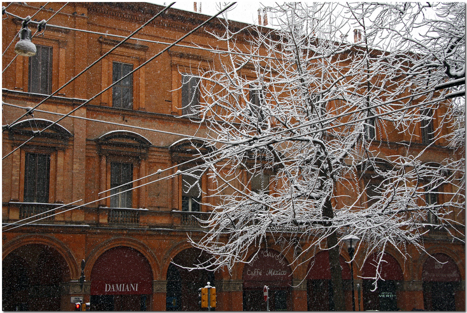 Nevicata alla bolognese X