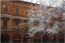 Nevicata alla bolognese X von groc 