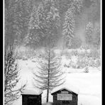 Nevicata BW