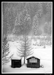 Nevicata BW