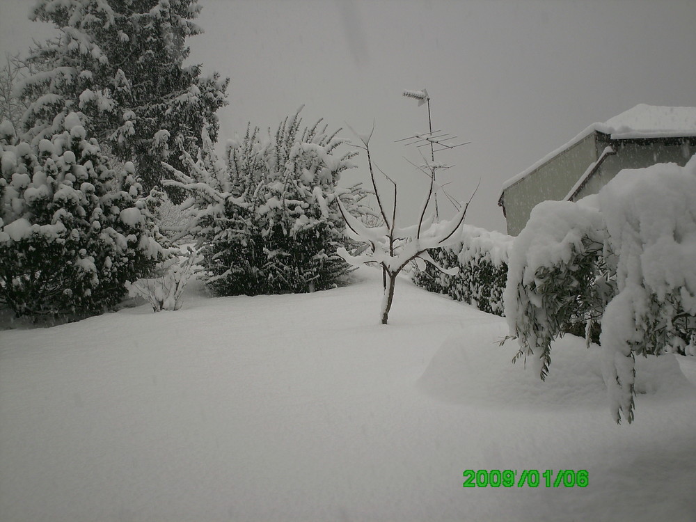 nevicata di gennaio