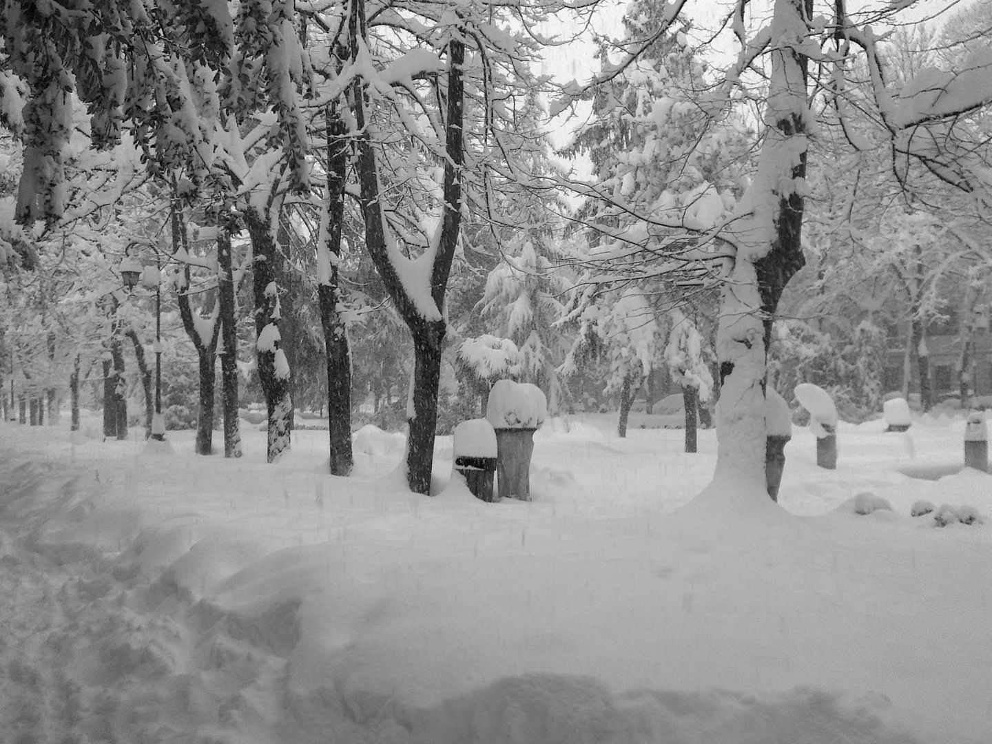 nevicata di san biagio