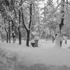 nevicata di san biagio