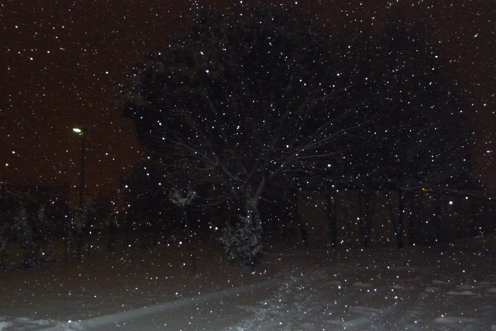 nevicata di sera