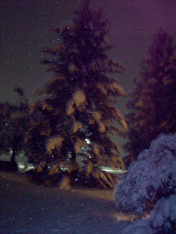 Nevicata dicembre 2005